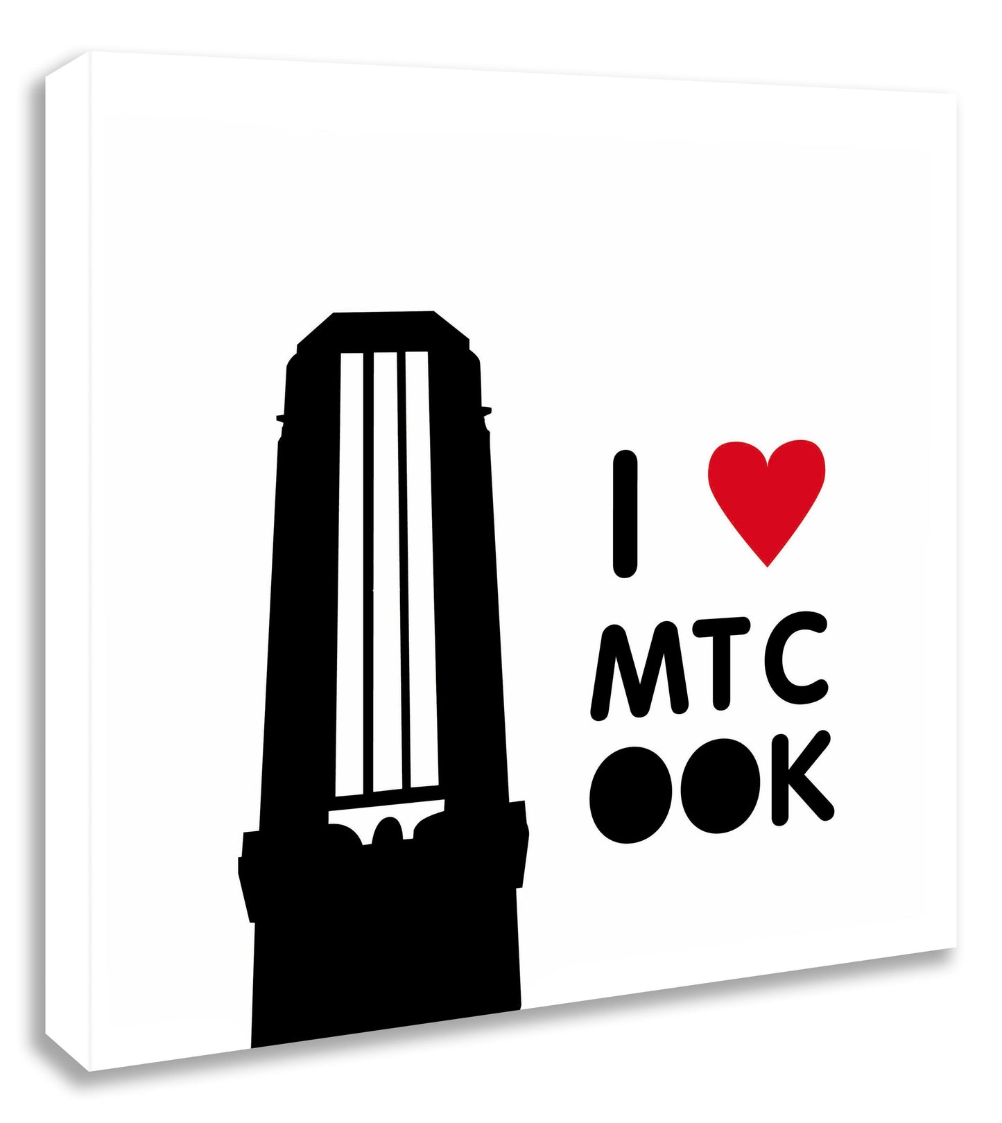 I heart Mt Cook - Zoe Virtue