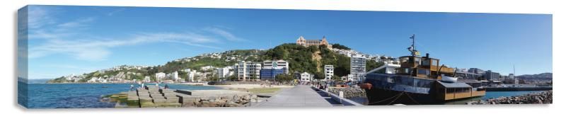 Looking back to Oriental Bay - Shane Crowe