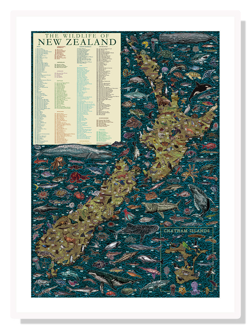 Wildlife of New Zealand - John Rooney