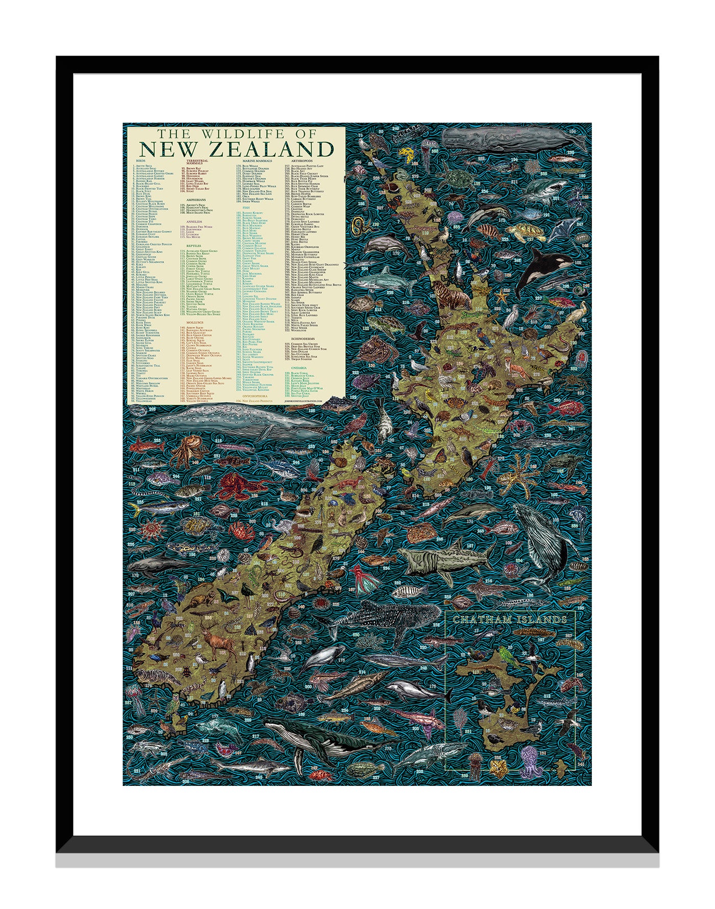 Wildlife of New Zealand - John Rooney