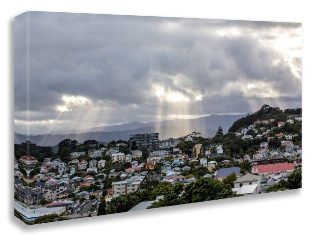 Welly Rays - Sandy Abbot