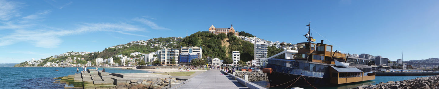 Looking back to Oriental Bay - Shane Crowe