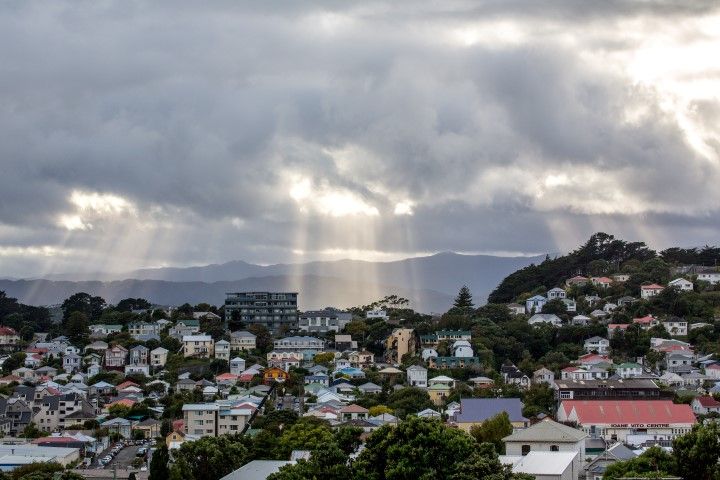 Welly Rays - Sandy Abbot