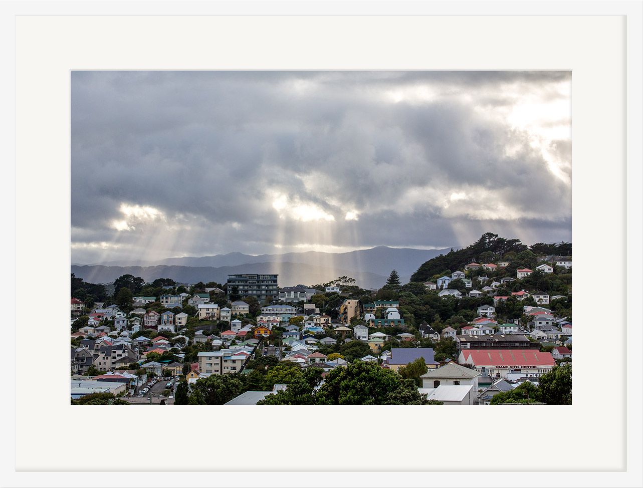 Welly Rays - Sandy Abbot