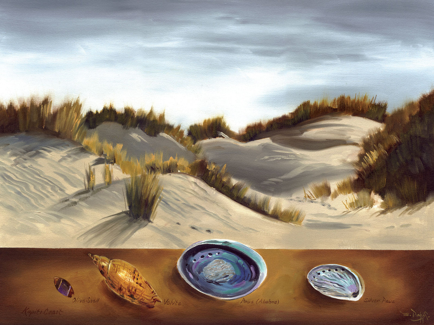 Kapiti Sand Dunes - Ernest Papps