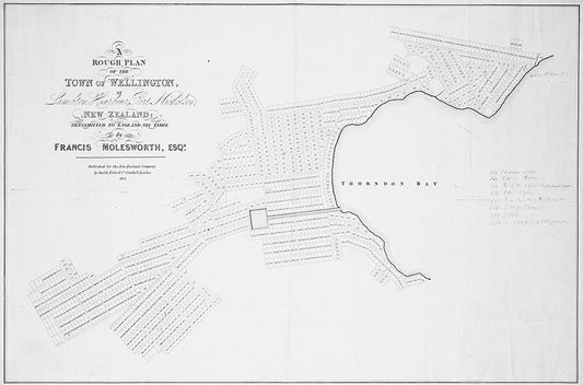 12. Rough plan of town of Wellington