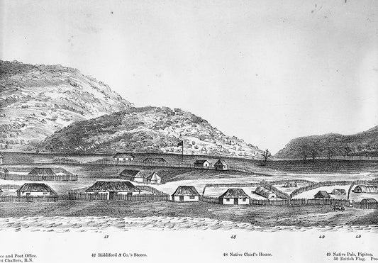 7. City of Wellington, NZ, 1841