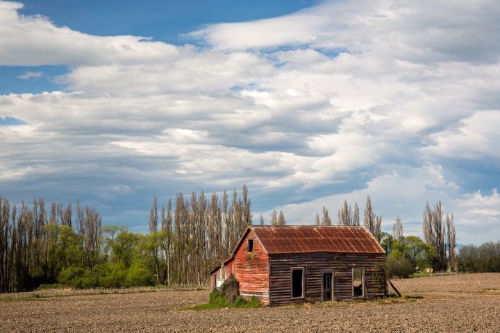 Rapa Barn - Sandy Abbot