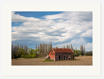 Rapa Barn - Sandy Abbot